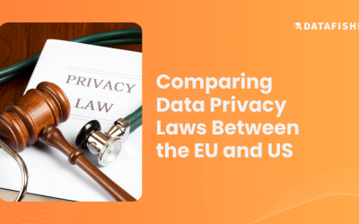 Comparing Data Privacy Laws Between the EU and US