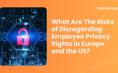 What are the Risks of Disregarding Employee Privacy Rights in Europe and the US?